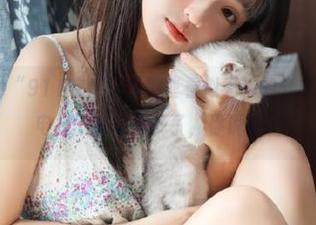 “911吃瓜”里那些看似无聊的分享,有时候比电视剧有意思多了,你说呢?