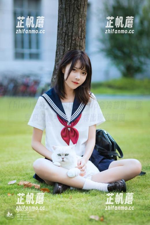 就在我以为hlwapp会冷却时，那些瓜又像牛魔王一样出现在眼前