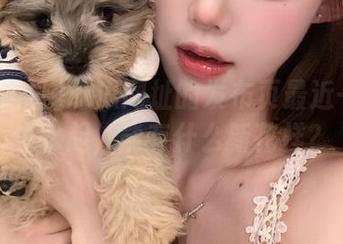 吃瓜网址的发布页最近一片风生水起，能有什么新花样？