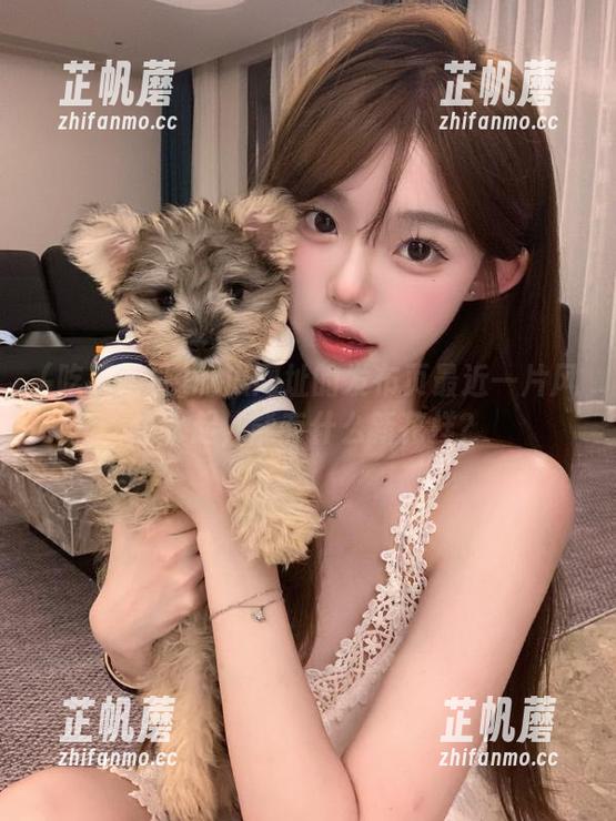吃瓜网址的发布页最近一片风生水起，能有什么新花样？