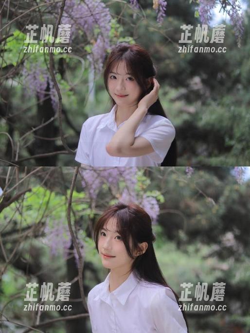 黑料正能量 永不迷路,黑料正能量官网教你如何在八卦泥潭中顺利“遛弯”!